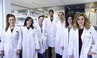 Descubren el funcionamiento de una proteína clave para la inmunoterapia contra el cáncer
