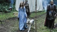 Sophie Turner, Sansa Stark en Juego de Tronos, adopta a un adorable cachorro de Husky