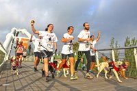 La quinta 'Can-rrera' solidaria de Bioparc recaudará fondos para programas de conservación