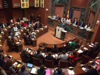 Diputados regionales defenderán el próximo martes ante el Congreso la supresión de los aforamientos