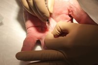 Casi 37% de las más de 26.400 solicitudes para oposiciones del Sescam son de fuera de C-LM