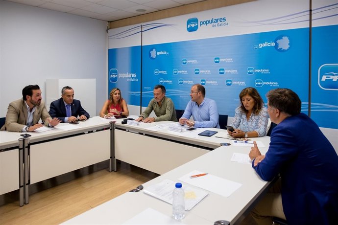 Comité de las Ciudades del PPdeG