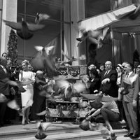 El Festival de Cine Francés de Málaga expondrá fotos de Hitchcock, Buñuel o Chabrol en el certamen de Cannes