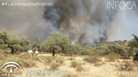 Cortada al tráfico la A-461 en ambos sentidos por el incendio forestal en La Granada del Ríotinto (Huelva)