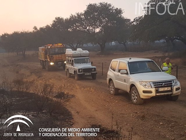 Incendio forestal en La Granada de Riotinto 