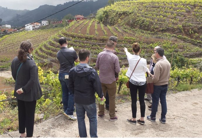 Importadores norteamericanos participan en una Misión Inversa con Canary Wine 