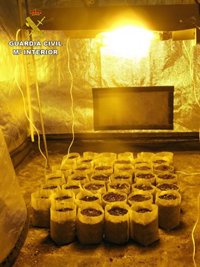 Desmantelado en Montilla (Córdoba) un punto de venta de droga y una plantación de marihuana 'indoor'