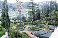 El Consell de Mallorca inicia contactos para incluir Raixa en la red europea de jardines históricos