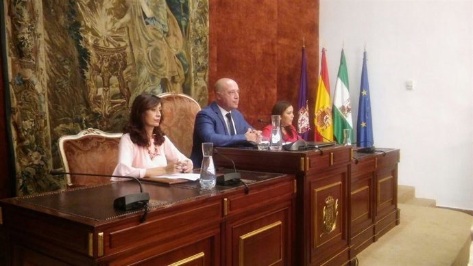 Antonio Ruiz preside el Pleno de la Diputación