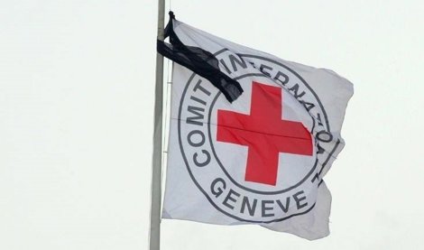 Cooperación y Desarrollo