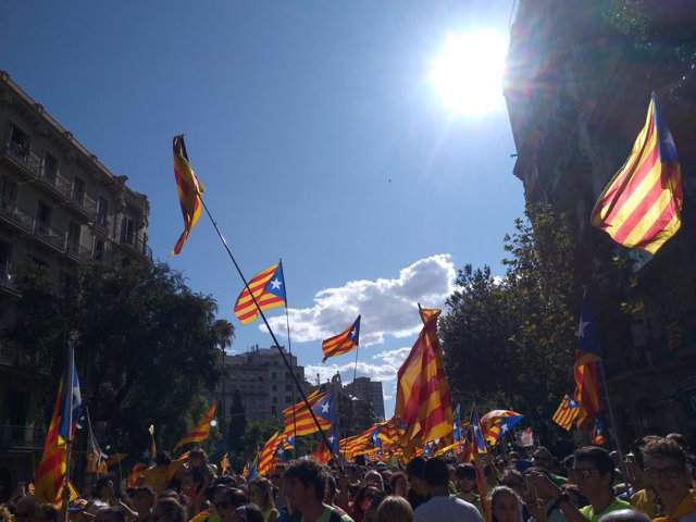 Senyeres y estelades en la manifestación de la Diada