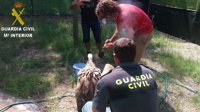 Sucesos.- La Guardia Civil auxilia en una pedanía de Chulilla a un buitre leonado que no podía volar