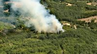 Ecologistas pide "más contundencia y medios" para investigar incendios provocados y que "no parezca que sale gratis"