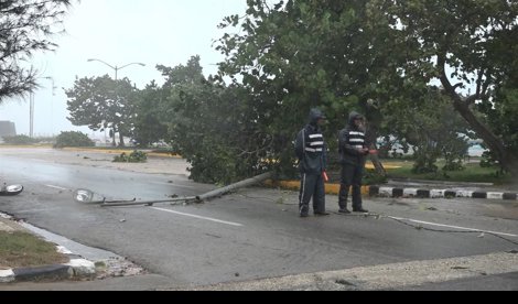 Cooperación y Desarrollo