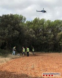 Desmantelan una gran plantación de marihuana oculta en la ribera del río Fluvià