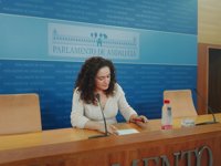 IU propone una reunión "inminente" a los grupos para renovar la Cámara de Cuentas