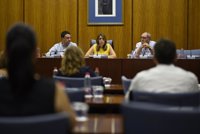 Susana Díaz advierte de que nadie llevará a Andalucía ni a la "preautonomía" ni a las "dos velocidades"