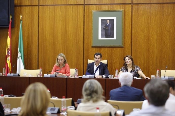 Reunión del grupo parlamentario del PP-A