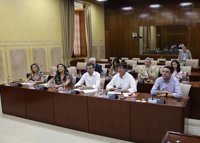 Constituido en el Parlamento andaluz el grupo de trabajo para abordar la financiación autonómica