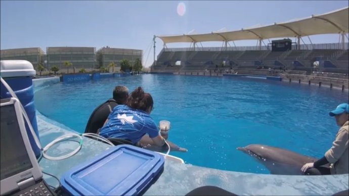 Dos investigadores del Oceanogràfic participan en el panel de la Armada de EEUU