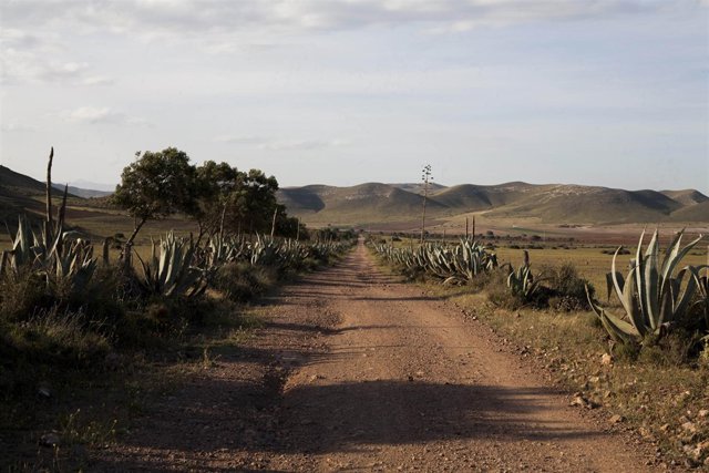 La ruta recorrerá los lugares del Cabo de Gata más destacados para 'Colombine'.