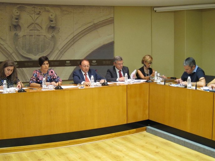                             Ruiz Alejos Comparece En El Parlamento