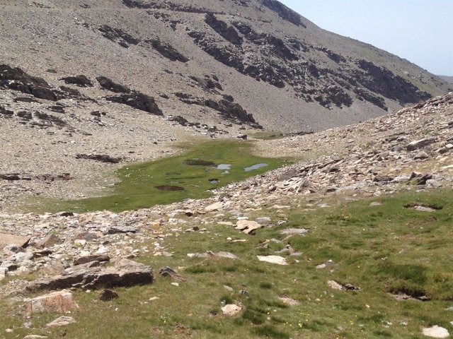 Borreguil de la Caldera de Sierra Nevada