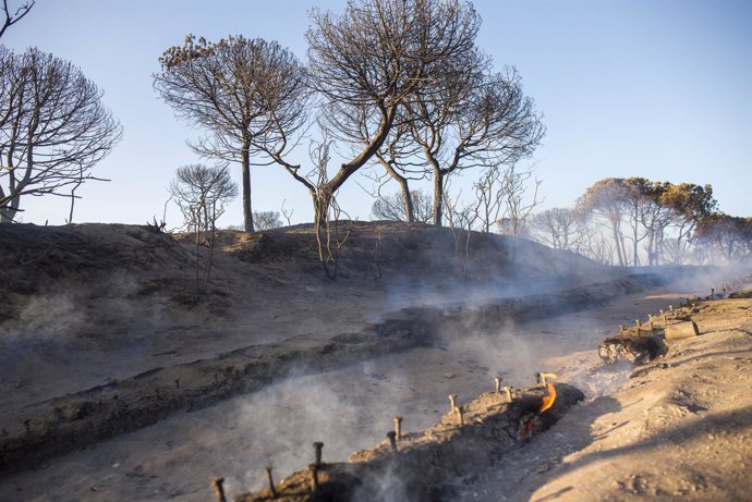 INCENDIO MOGUER , ACCESO PLAYA CUESTA MANELI 