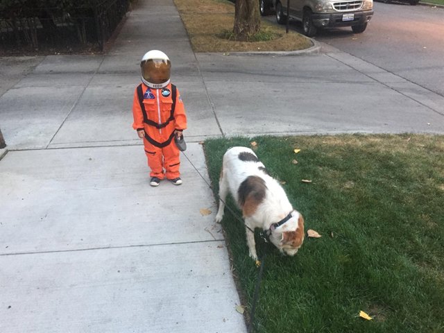 Perro y niño astronauta
