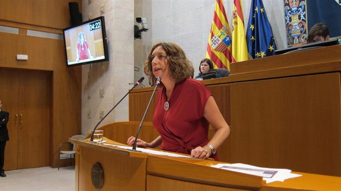 La dipuada de IU Patricia Luquim                               