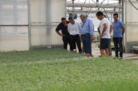 La comunidad de regantes de Las Virtudes de Conil abre las puertas de los agricultores a ayudas