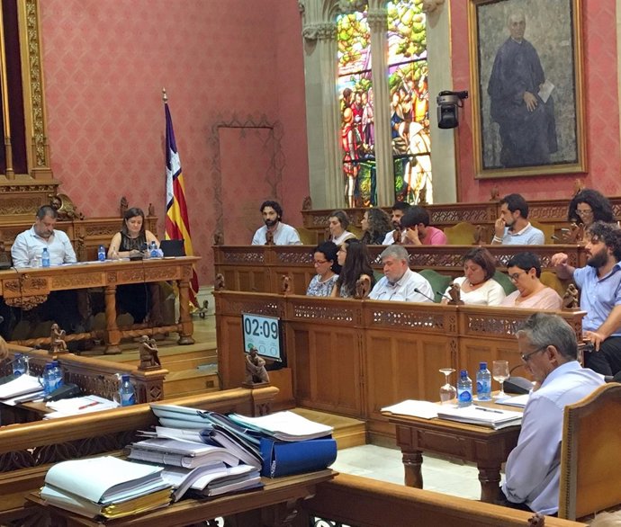 Nota De Premsa + Foto: Ple Consell De Mallorca