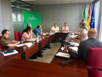 Andalucía se compromete con taxistas a reforzar la cooperación con los ayuntamientos para potenciar el control de VTC