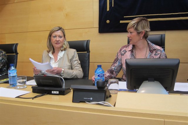 Del Olmo comparece en las Cortes