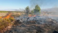 El Infoca da por extinguido el incendio forestal de Padul (Granada)