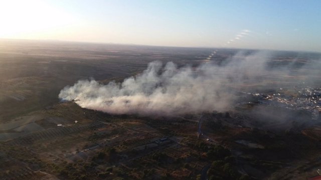 Incendio forestal en Bonares (Huelva)