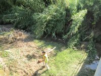 La CHG inicia este lunes los trabajos de limpieza del río de Guadalquivir a su paso por Andújar (Jaén)