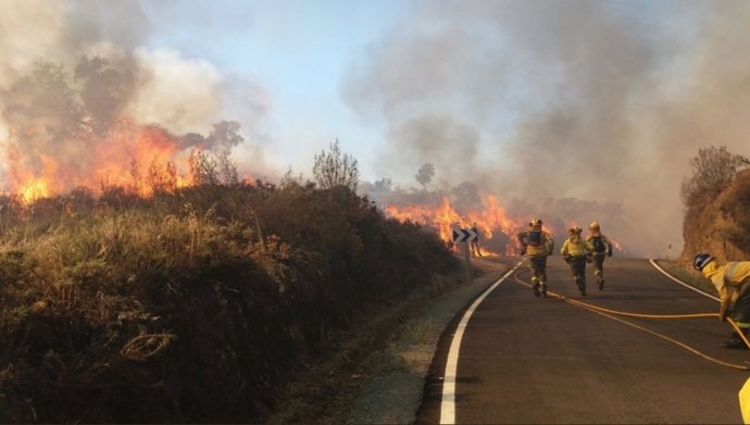 Incendio forestal de La Nava