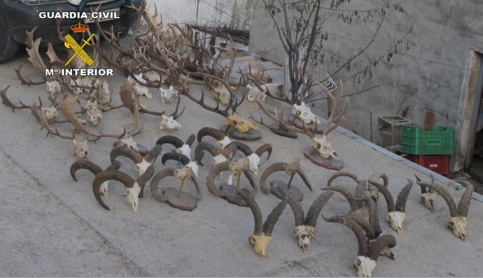 Operativo de erradicación del furtivismo