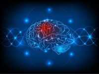 Un mapa escondido en el cerebro guía los movimientos