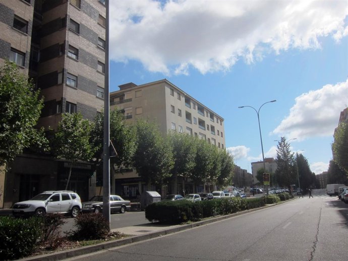 Avenida Alfonso IX de Salamanca
