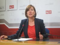 PSOE apela a la responsabilidad de PP y le pide que deje de "mentir y jugar" con Cataluña