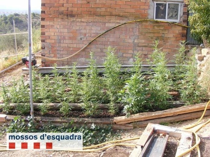 Agencia Catalana de Noticias