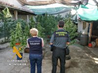 Detienen al dueño de un bar en Gallegos de Argañán por cultivo y venta de marihuana