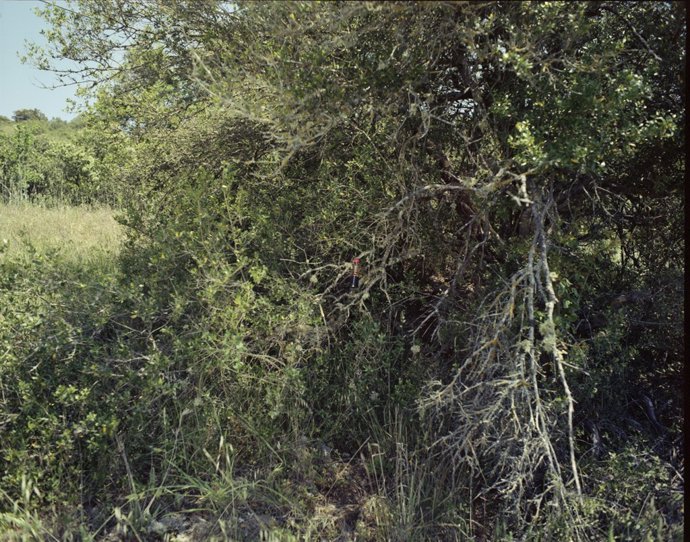 Imatge de l'exposició 'Reserva', de Gerard Ortín