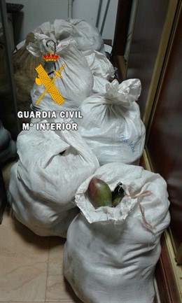 Sacos de mangos robados y recuperados por la Guardia Civil