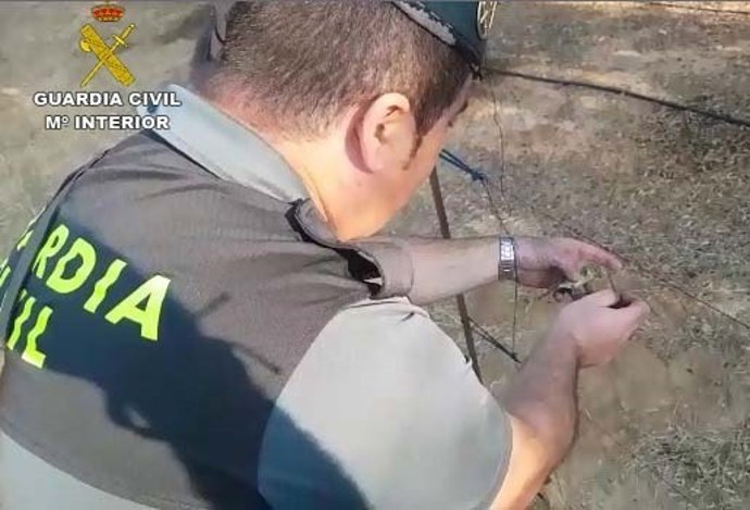 Localizan a un varón por cazar aves con medios prohibidos en Beas (Huelva).