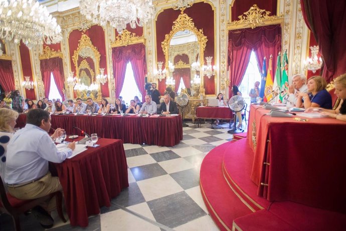 Pleno en la Diputación de Cádiz