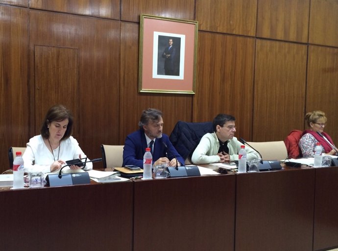 El consejero andaluz José Fiscal, en Comisión de Medio Ambiente del Parlamento