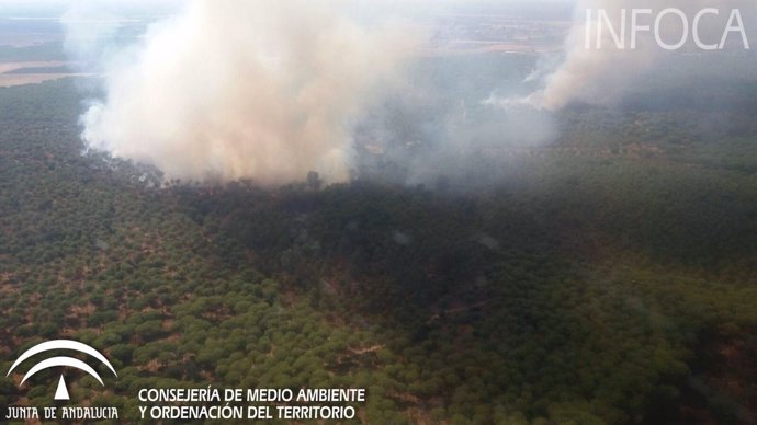 Incendio de Villamanrique.